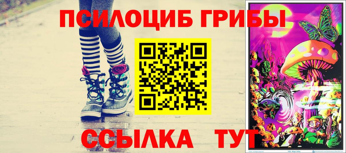 Галлюциногенные грибы Psilocybe Кулебаки