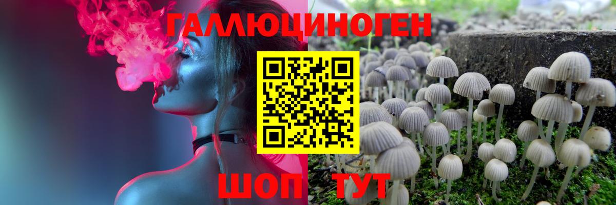 где продают наркотики  Псилоцибиновые грибы GOLDEN TEACHER  Вход с VPN  Кулебаки 